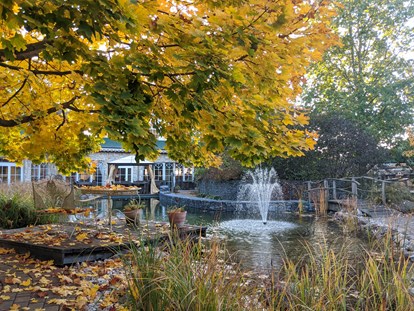 Luxusurlaub - Pools: Schwimmteich - Herbstatmosphäre am Schlossteich - Wellnesshotel Seeschlösschen - Privat-SPA & Naturresort