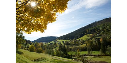 Luxusurlaub - Bad Wildbad im Schwarzwald - Natur - Hotel Traube Tonbach