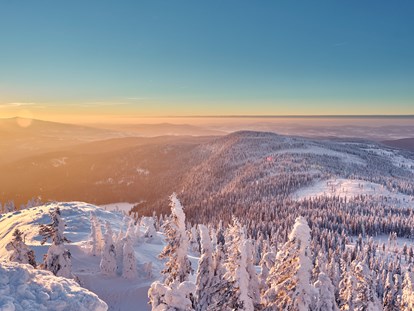 Luxusurlaub - Saunalandschaft: finnische Sauna - Deutschland - Bayerische Wald im Winter - Wellness & Naturresort Reischlhof **** Superior 