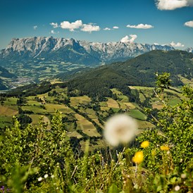 Luxushotel: Sommerurlaub im Herzen des Salzburger Land - Verwöhnhotel Berghof