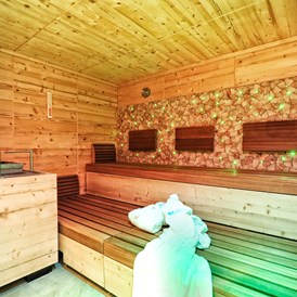 Luxushotel: Sauna - Hotel Sonne