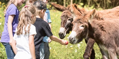 Luxusurlaub - Kinderbetreuung - Österreich - Tiere im Waldhof - Ebner's Waldhof am See