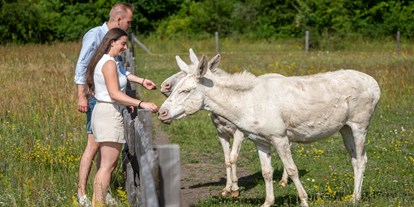 Luxusurlaub - Einrichtungsstil: modern - Natur pur - die weißen Esel im VILA VITA  - VILA VITA Pannonia