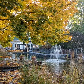 Luxushotel: Herbstatmosphäre am Schlossteich - Wellnesshotel Seeschlösschen - Privat-SPA & Naturresort
