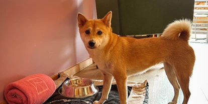 Luxusurlaub - Kappl (Kappl) - Hunde willkommen - Hotel Goldener Berg