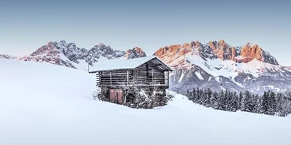 Luxusurlaub - Bar: Poolbar - Wellnessresort Seiwald