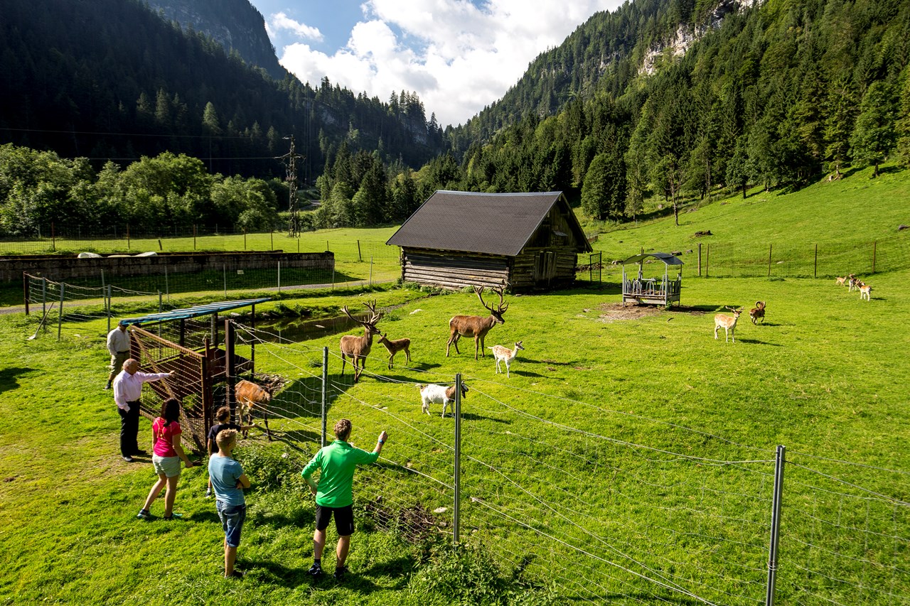 Hotel Panorama Ausflugsziele Freizeit- und Wildpark Untertauern