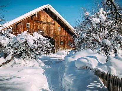 Luxusurlaub - Bar: Poolbar - Wunderschöne Winterlandschaft am Gut Weissenhof - Hotel Gut Weissenhof ****S