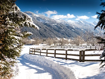 Luxusurlaub - Bar: Poolbar - Winterwanderwege genießen - Hotel Gut Weissenhof ****S