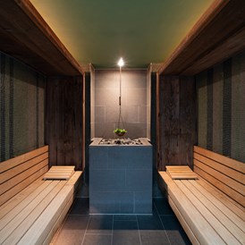 Luxushotel: Aroma Sauna - Hotel DAS TEGERNSEE