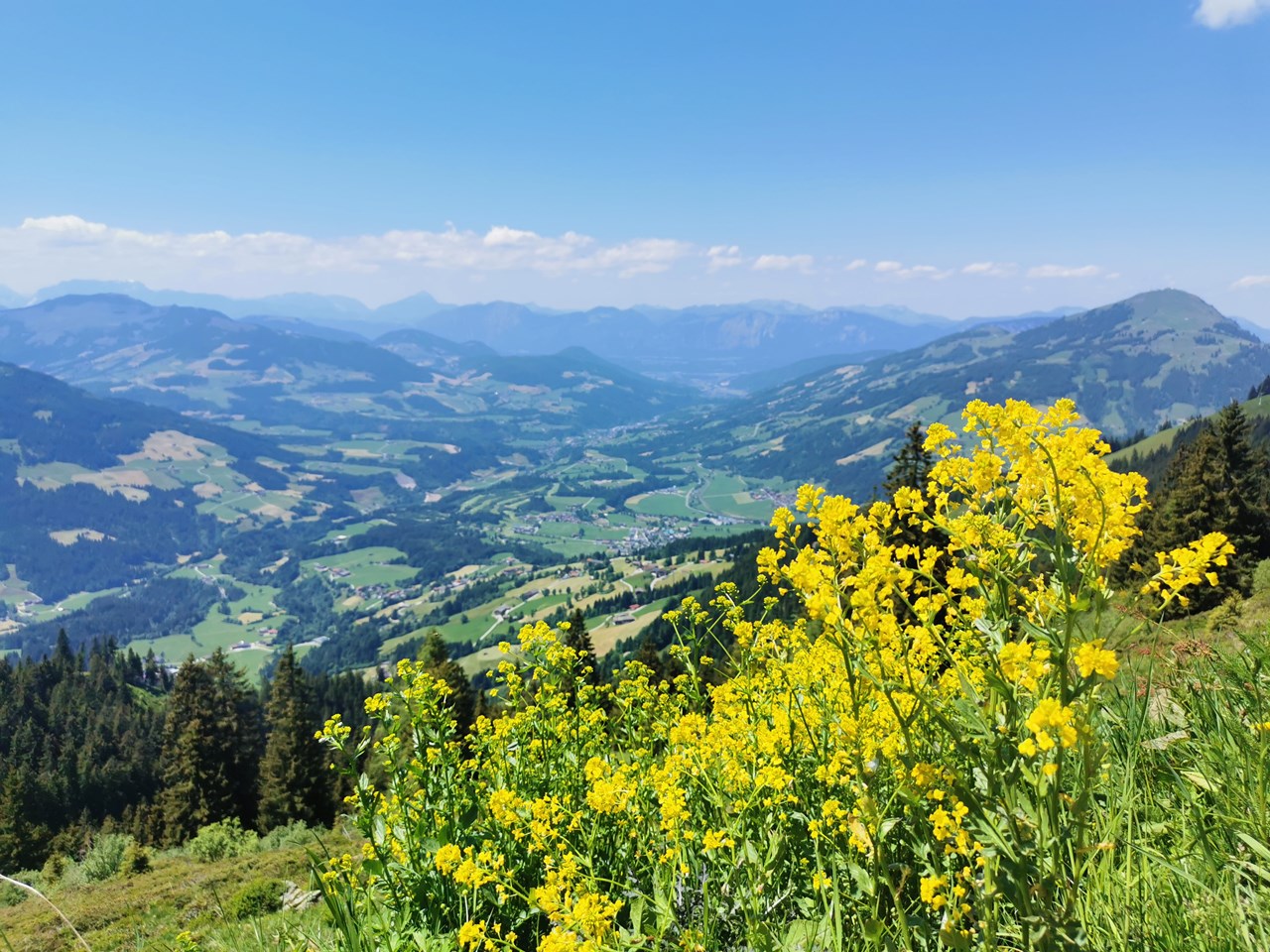 Landhotel Schermer Ausflugsziele Hohe Salve