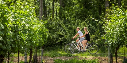 Luxusurlaub - Andau - Fahrräder stehen allen Gästen kostenlos zur Verfügung - VILA VITA Pannonia
