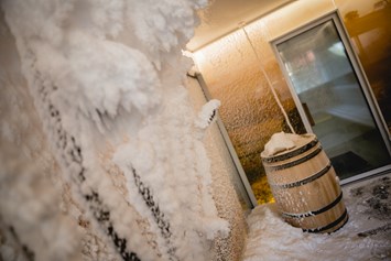 Luxushotel: Österreichs erste Schneesauna 

©View_J.Vass - AVITA Resort****Superior