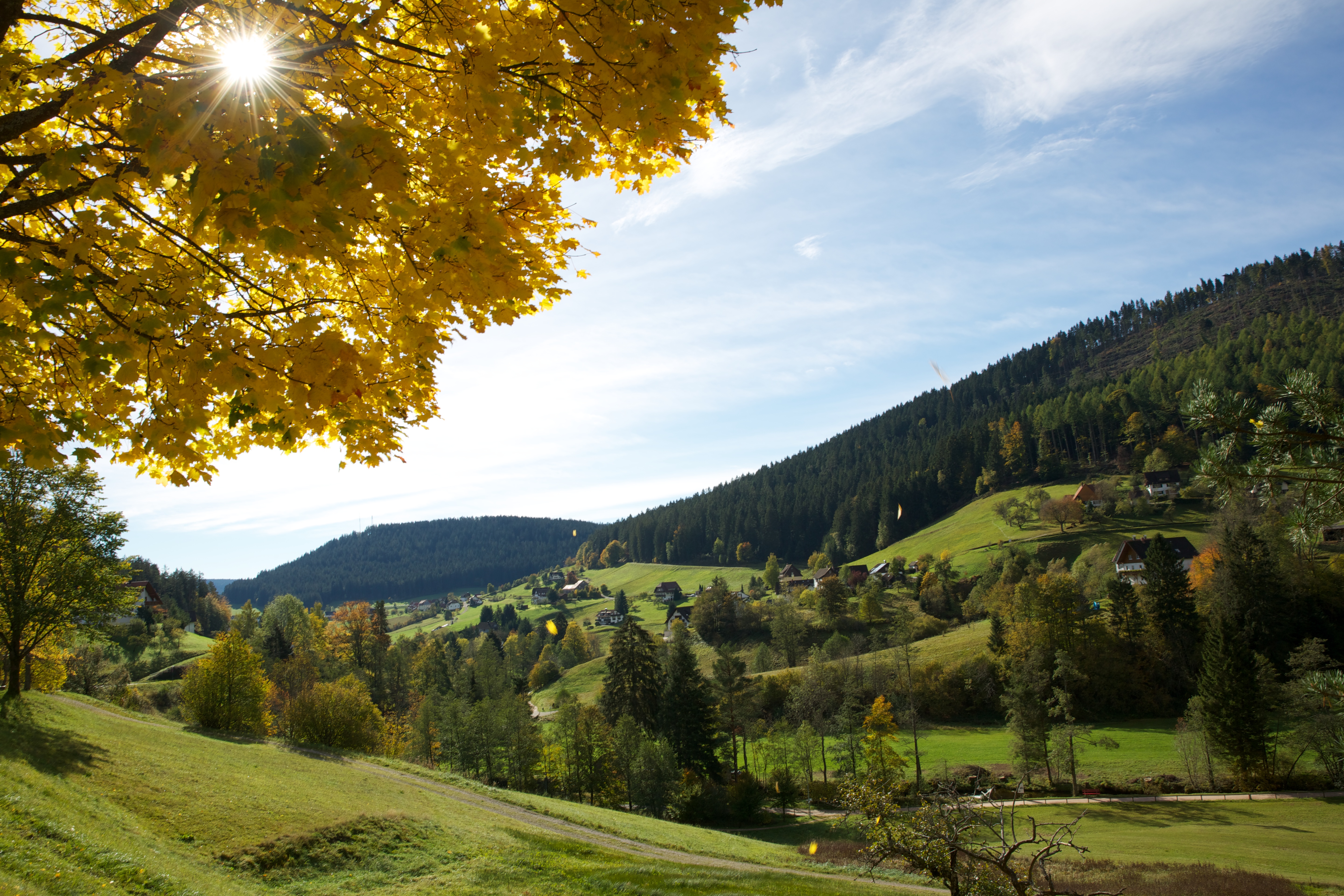 Luxushotel: Natur - Hotel Traube Tonbach