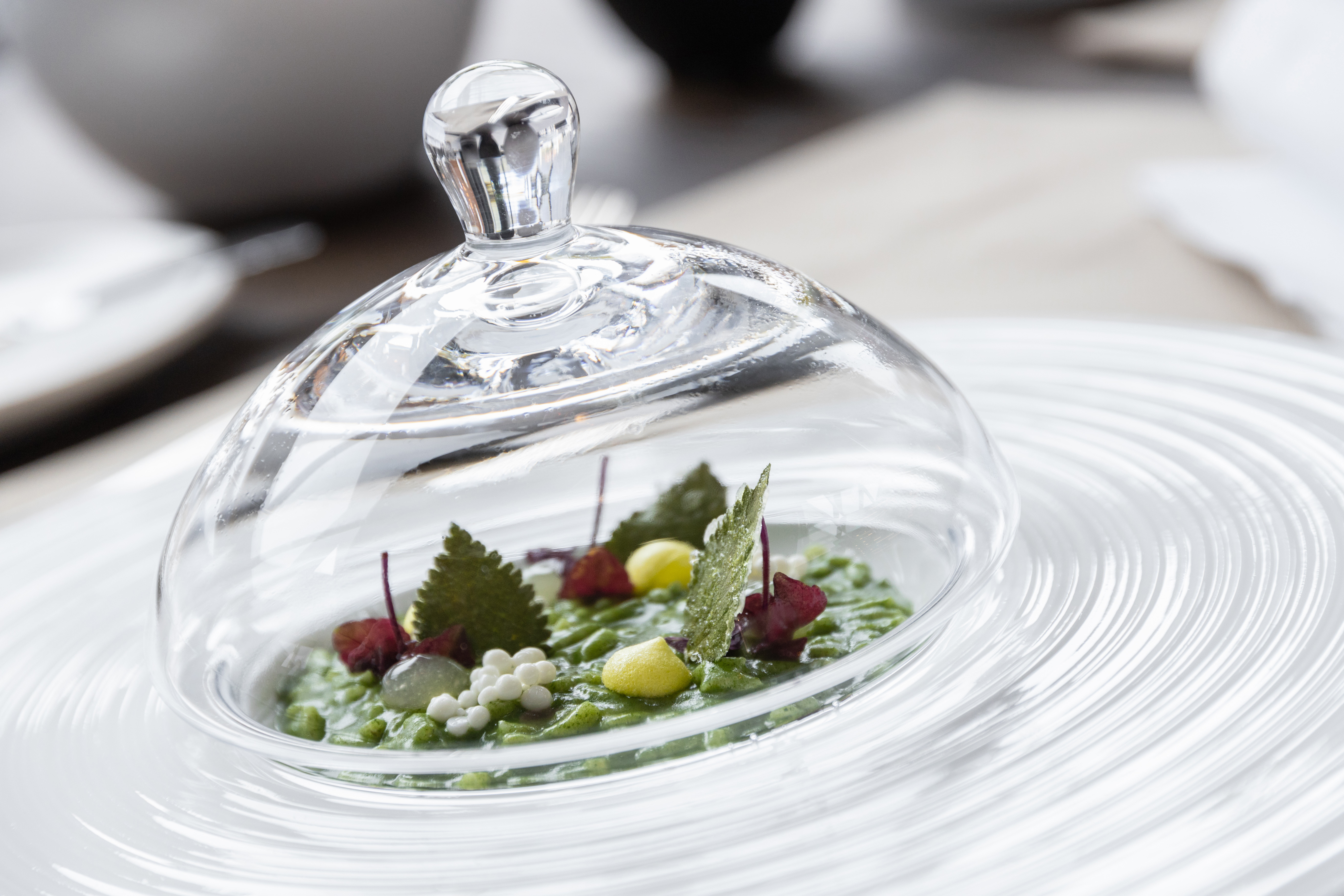 Luxusurlaub - 39012 - Gourmet  - Hotel das Paradies