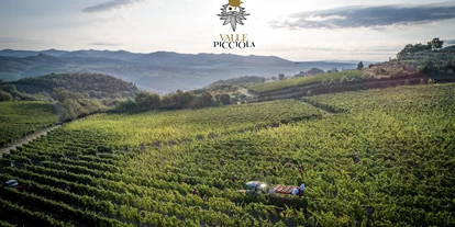 Luxusurlaub - Bar: Poolbar - Hotel Le Fontanelle