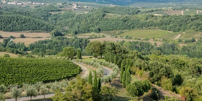 Luxusurlaub - Bar: Poolbar - Hotel Le Fontanelle