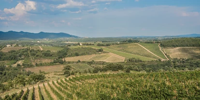 Luxusurlaub - Bar: Poolbar - Hotel Le Fontanelle