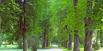 Luxusurlaub - Parkplatz: gebührenpflichtig in Gehweite - Park - Hotel Warmbaderhof*****