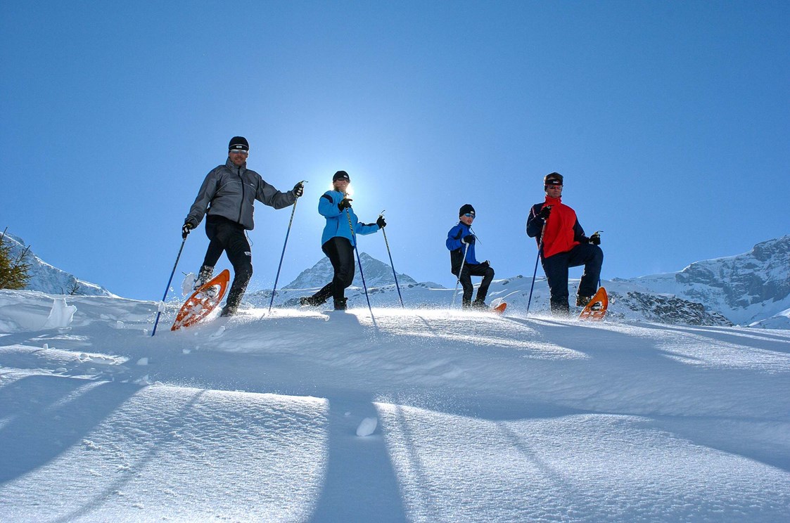 Luxushotel: Aktiv im Winter: Schneeschuhwandern - CESTA GRAND  Aktivhotel & Spa