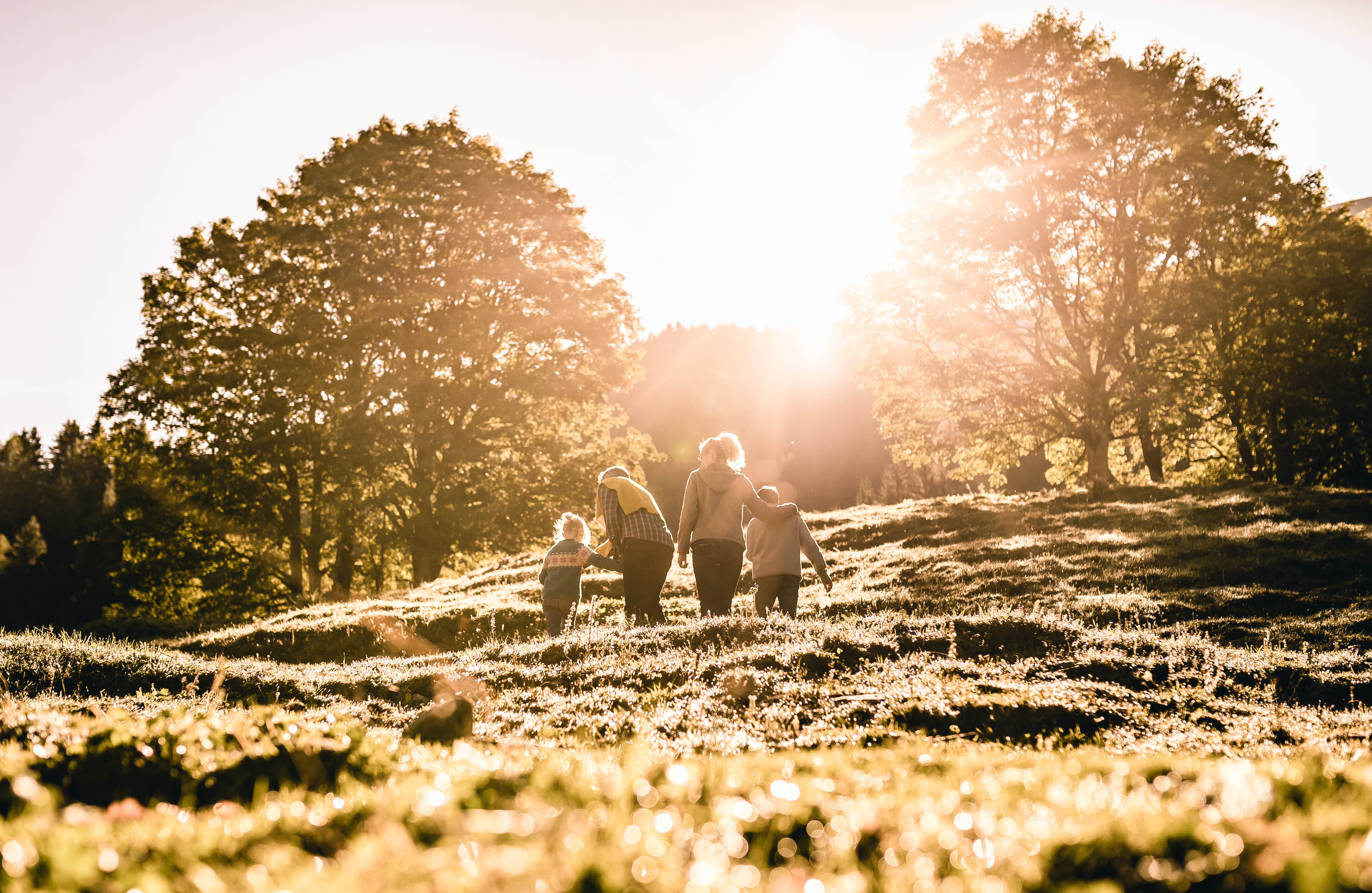 Luxushotel: Herbst Ellmauhof - Ellmauhof - das Generationenresort ****S