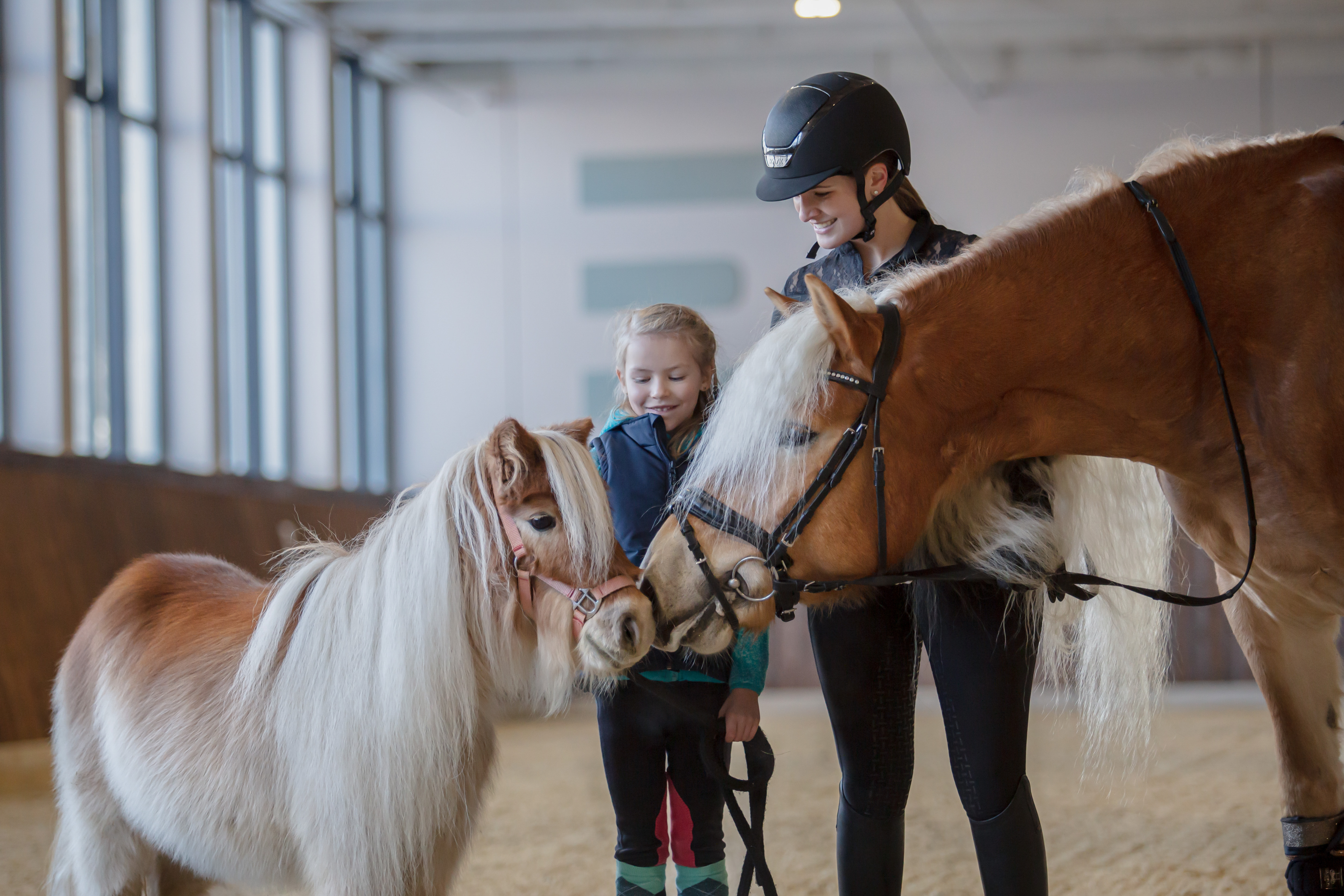 Luxusurlaub - PLZ 6335 (Österreich) - Reitakademie - Ellmauhof - das Generationenresort ****S