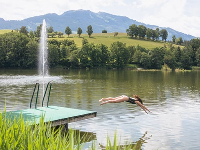 Luxusurlaub - Bar: Poolbar - Badespaß am Ritzensee - Ritzenhof – Hotel und Spa am See