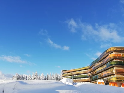 Luxusurlaub - Hotel-Schwerpunkt: Luxus & Sport - Hotel in der Winterlandschaft des Mühlviertels - Hotel AVIVA****s make friends
