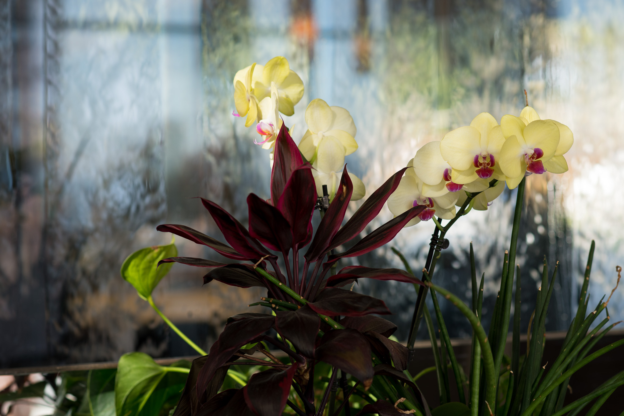 Luxushotel: Dekoration in der Hotellobby - Hotel AVIVA****s make friends