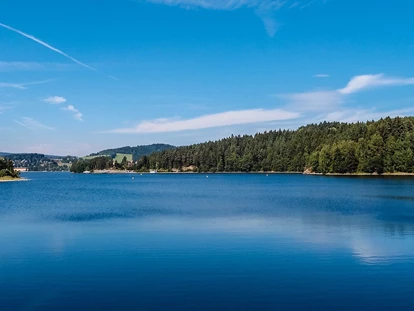 Luxusurlaub - Hotel-Schwerpunkt: Luxus & Sport - Moldaustausee 10 km vom Hotel entfernt - Hotel AVIVA****s make friends