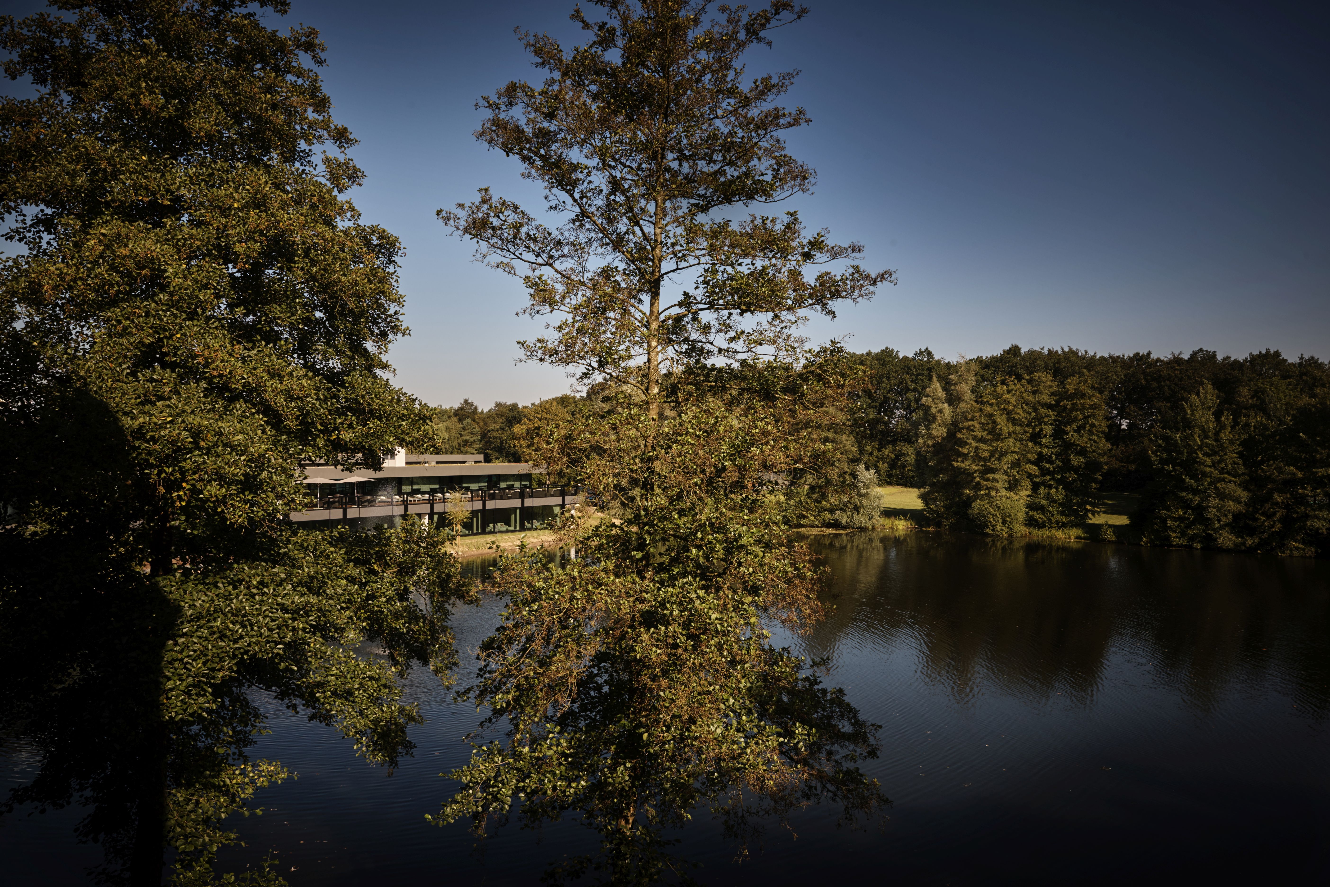 Luxusurlaub - Mainz - Seeblick - Hilton Frankfurt Gravenbruch