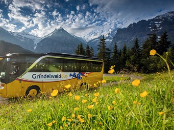 Belvedere Swiss Quality Hotel Grindelwald Ausflugsziele Grindelwald Bussalp