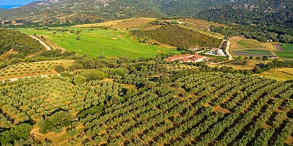 Luxusurlaub - Bar: Poolbar - Hotel de la Ferme Murtoli, aerial view, olive grove - Hotel de la Ferme - Murtoli