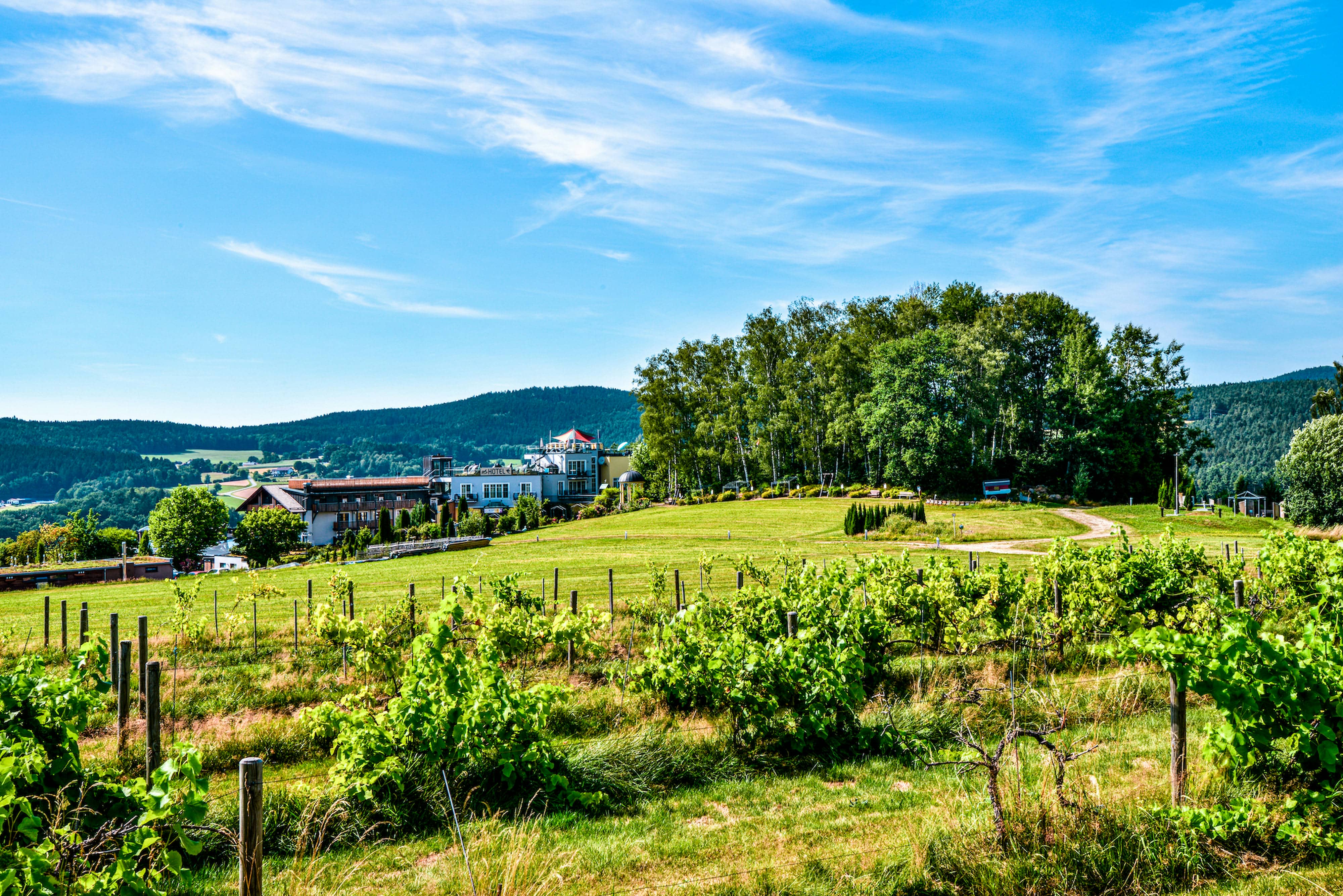 Luxusurlaub - Bayern - Der Birkenhof mitten im Grünen des Bayerischen Waldes - Spirit & SPA Birkenhof am Elfenhain