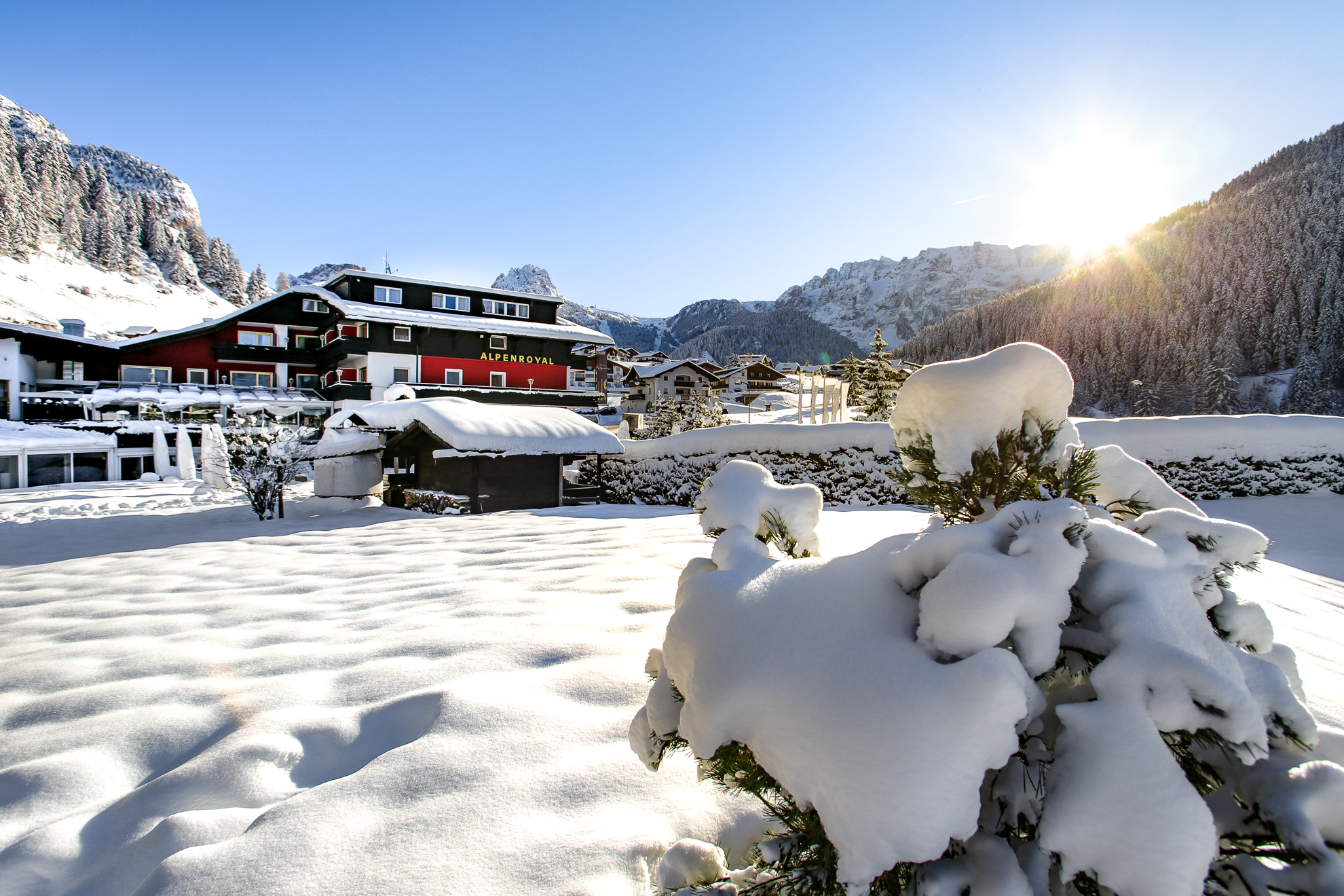 Luxusurlaub - 39012 - Hotel Alpenroyal