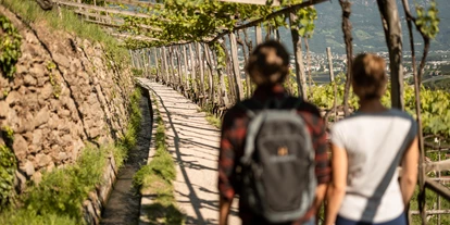 Luxusurlaub - Völlan - Wissen Sie, was ein Waalweg ist? Am besten, Sie erkunden einen dieser jahrhundertalten Bewässerungskanäle für Wiesen und Äcker bei Ihrem malerischen Wanderurlaub durch das Meraner Land oder den Vinschgau.  - Hotel Hanswirt