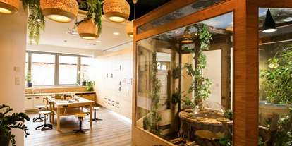 Luxusurlaub - Andau - Therme_Kinderbereich_Forschungsstation - St. Martins Therme & Lodge