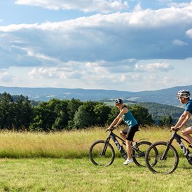 Luxushotel: Freizeit im Bayerischen Wald - E-Bike - Wellness & Naturresort Reischlhof **** Superior 