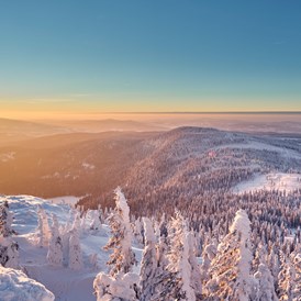 Luxushotel: Bayerische Wald im Winter - Wellness & Naturresort Reischlhof **** Superior 