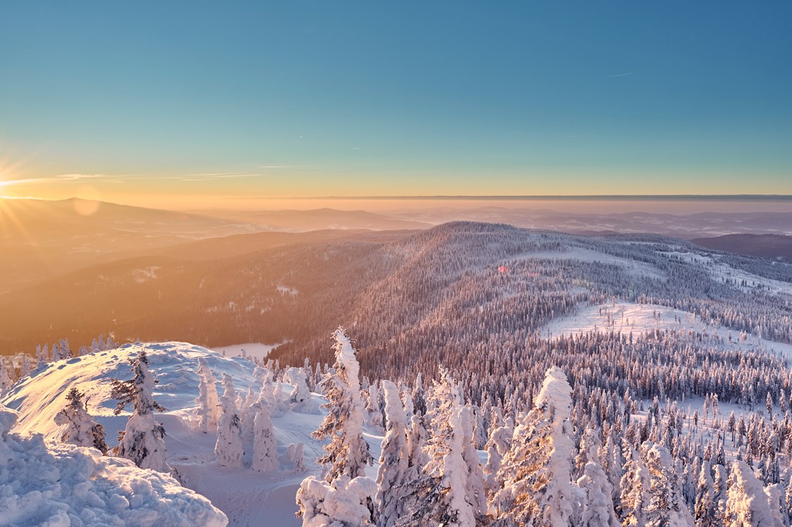 Luxushotel: Bayerische Wald im Winter - Wellness & Naturresort Reischlhof **** Superior 
